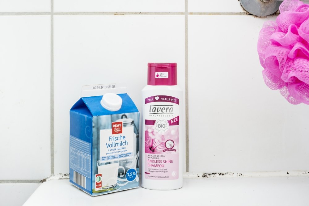 Monster Truck: MADE FOR LOVE